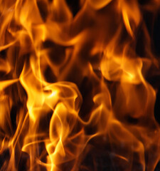 Fire flame on black background