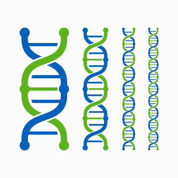 DNA helix structures in different sizes and colors.