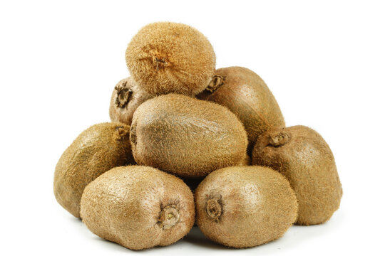 Fresh Kiwifruit Still Life - Shaanxi Cui Xiang Variety