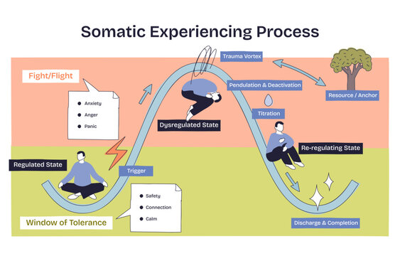 Somatic experiencing process flow mapping regulation to dysregulation and recovery via a wave path, key objects, curved track, state labels, seated figures. Doodle style diagram