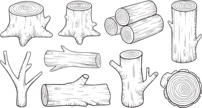Hand drawn line collection of various wood logs and stumps timber tree