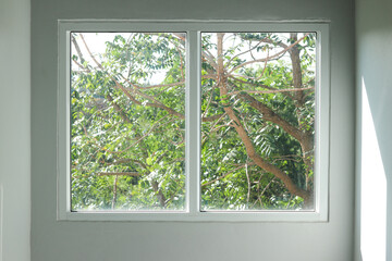 Sunlight shines through a white-framed window, revealing lush green tree branches outside and casting soft shadows on a minimalist interior wall, creating a calm and natural home atmosphere.