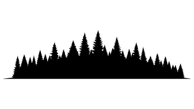 A silhouette of a dense forest with evergreen trees against a white background isolated on white background, Vector, illustration