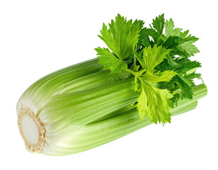 Crisp green celery stalk, with vibrant leaves