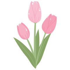 Pastel Pink Tulip Flowers with Green Leafs Illustration