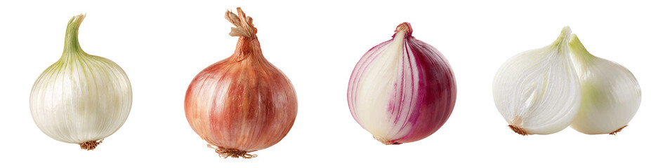 Collection of Fresh Red White and Yellow Onions Whole and Half Cut Bulb Vegetables PNG, transparent background