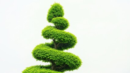 Unique Green Tree Illustration with Artistic Form and Vibrant Canopy on White Surface