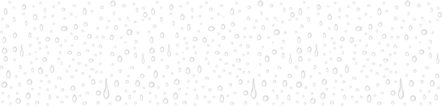 Realistic transparent water droplets Water rain or shower drops seamless border isolated on transparent background. PNG drops Water rain or shower drops seamless border Water droplets On white Dew