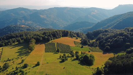 Tranquil sunny summer landscape with green fields and hills.