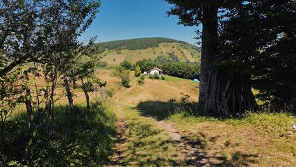Tranquil sunny summer landscape with green fields and hills.