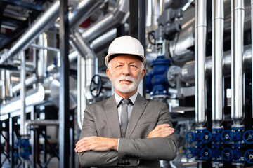 Senior ceo wearing hard hat in industrial plant