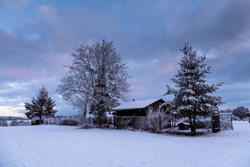 Winterlandschaft - Feld - Abendrot 