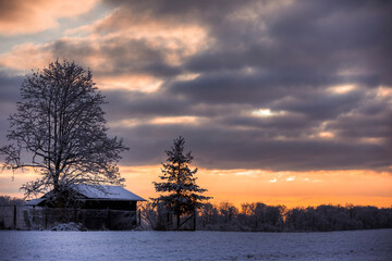 Winterlandschaft - Baum - Morgenr&ouml;te 