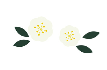 白い椿のイラスト