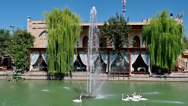 Wide Slow-Motion View of Swans and Fountain at Lyabi Khause in Bukhara, Uzbekistan