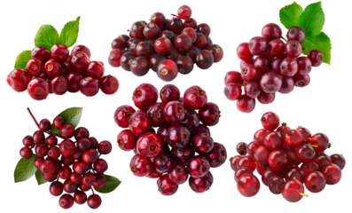 Various clusters of red berries with green leaves on a transparent background. Fresh, juicy, and ripe red berries arranged in different groups.