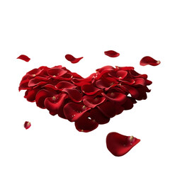 red rose petals