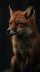 Obraz premium Serene fox with closed eyes mobile wallpaper