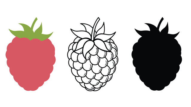 A colorful illustration of raspberries in different styles and colors on white