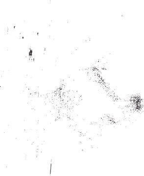 Black and sparse to dense scatter plot a