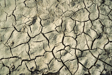 Cracked and dried mud in an empty dam, climate change image