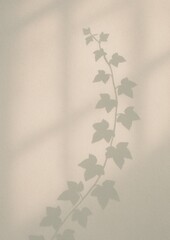 Fototapeta premium Elegant ivy shadow design