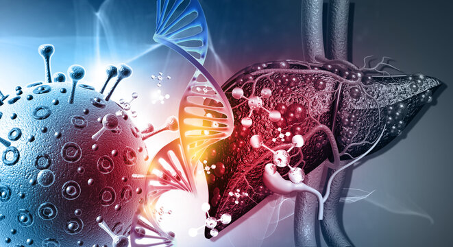 Medically accurate 3D illustration of a human liver infected by a virus, with visible inflammation and cellular damage on a scientific background.