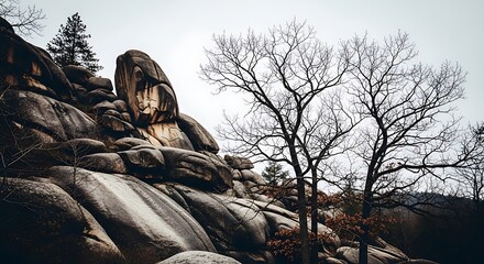 Rocky Landscape with Trees and Boulders.