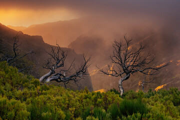 Beautiful sunrise with clouds in Pico Ruivo, Madeira