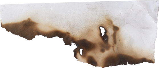 Burnt paper edge: A close-up shot of a burnt paper edge. The edge is scorched and irregularly shaped, showcasing the aftermath of a fire. The texture reveals the paper's delicate nature.