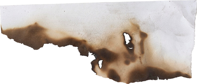 Burnt paper edge: A close-up shot of a burnt paper edge. The edge is scorched and irregularly shaped, showcasing the aftermath of a fire. The texture reveals the paper's delicate nature.