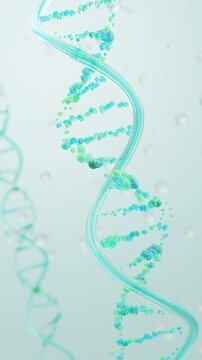 Marine DNA PDRN helix with molecular bubbles for skin repair and hydration. Loop Vertical 3D animation.