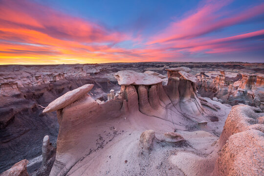 Bisti