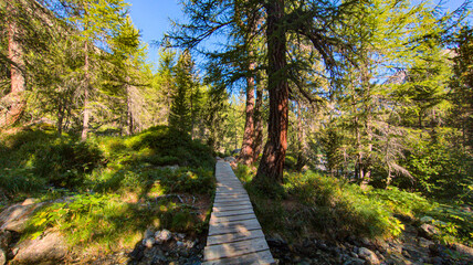 Mountain and lake landscape at the Albula Pass in Switzerland, showcasing pristine alpine nature.