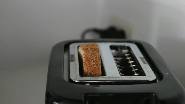 Toast toaster breakfast kitchen appliance bread closeup morning mood electric toaster slot simple home cooking