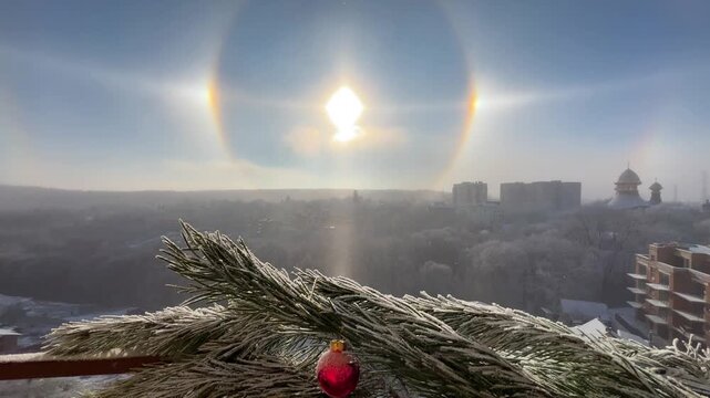 Stunning solar halo phenomenon over a frosty winter city landscape. Bright sun dogs and a full circular halo create a breathtaking sky display. Close-up shot of green pine tree branches in snow. 