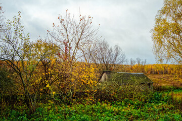 Old Garden in a Village in Late Autumn