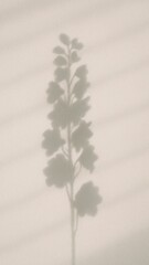 Fototapeta premium Minimalist floral shadow art mobile wallpaper