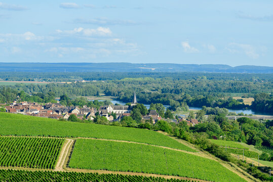 Rolling green vineyards stretch toward the quaint village of Pouilly sur Loire, with the Loire River winding through a lush forested landscape beneath a clear blue sky. The scene is vibrant and serene