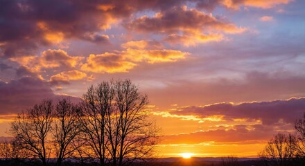 Golden Hour Sunset, Glowing Clouds & Silhouetted Trees with Orange Magenta Sky