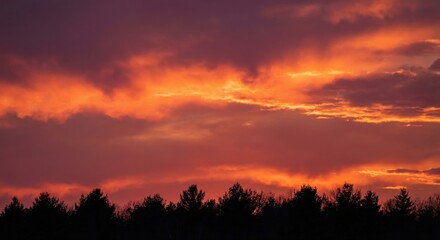 Golden Hour Sunset, Glowing Clouds & Silhouetted Trees with Orange Magenta Sky