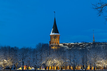 Cathedral of Kaliningrad in the deep winter