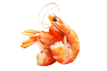 Fresh shrimp on white background isolated