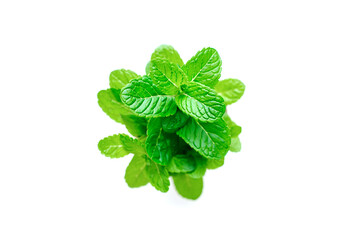 Mint leaf. Fresh mint on white background. © Роман Фернаті