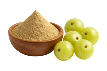 Amla powder in a wooden bowl with fresh amla fruits on transparent background