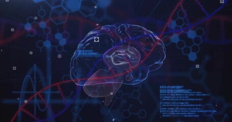 Animation of scientific data processing over human brain and dna strand on dark background - Powered by Adobe