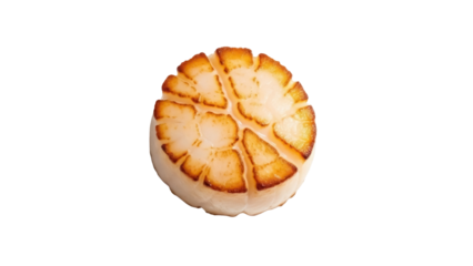 Perfectly seared scallop isolated PNG on transparent background, delicious seafood delicacy with grill marks for gourmet cooking