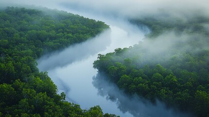 Serene river winding through lush green forest shrouded in morning mist at dawn