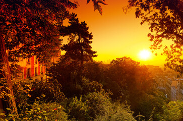 Fototapety na wymiar - Fototapeta24.pl