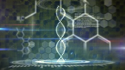 Animation of dna strand spinning and medical data processing - Powered by Adobe